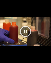 Load image into Gallery viewer, The Tie Dye Experiment: Finding your true colors video