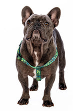 Load image into Gallery viewer, Green spiral dog harness
