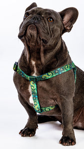 Green spiral dog harness
