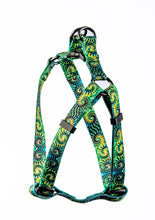 Load image into Gallery viewer, Green spiral dog harness
